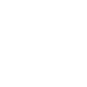 Curriculum