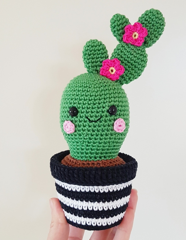 Cactus